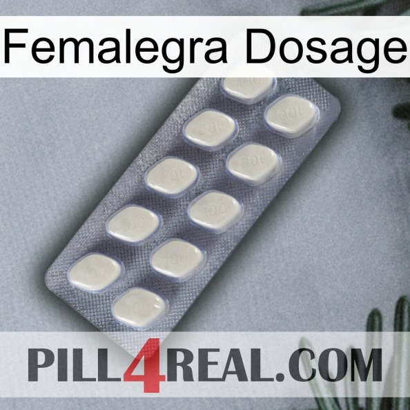 Femalegra Dosage 08.jpg